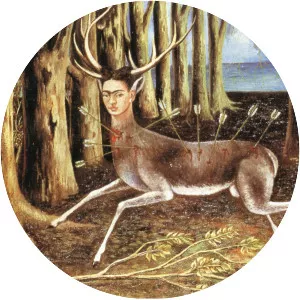 The Wounded Deer