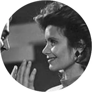 The Year of The Rabbit