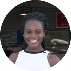 The Young Icons - American television series