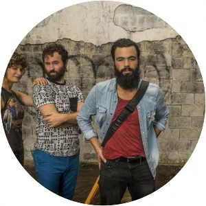 The Young Step - Musical artist