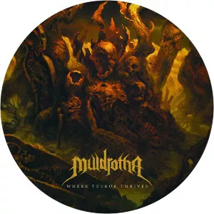 the zenith passage muldrotha - Band