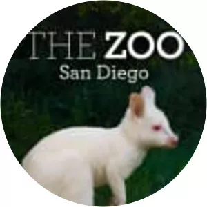 The Zoo: San Diego - TV program
