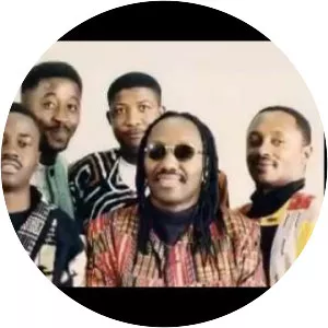 Them Mushrooms - Musical band