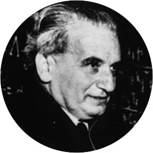 Theodore von Kármán - Mathematician