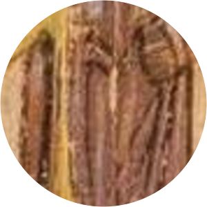 Theophilus I of Alexandria