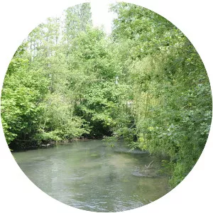 Thérain (Le Thérain)