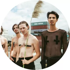 These New South Whales - Musical group