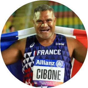 Thierry Cibone