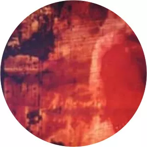 Thigh Line Lyre Triangular