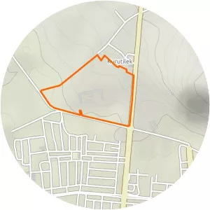 Third Army photograph