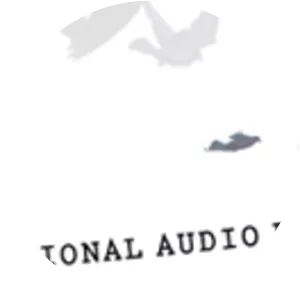 Third Coast International Audio Festival