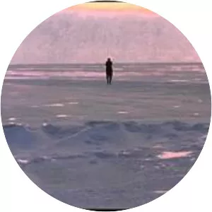 Thirty Two Short Films About Glenn Gould