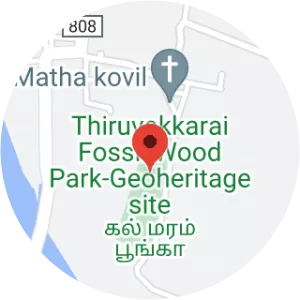 Thiruvakkarai Fossil Wood Park-Geoheritage site - 