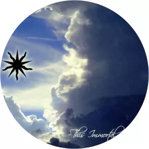 This Immortal Coil - Musical band