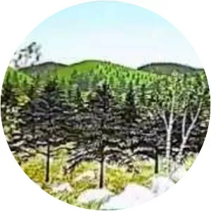 This Is Your Life, Charlie Brown