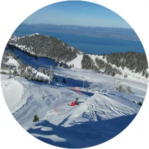 Thollon-les-Mémises