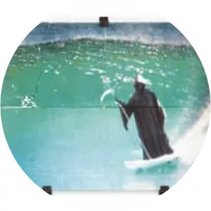 Thomas Mailaender - French artist