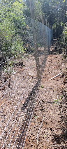 Thomas Master Fencing - 