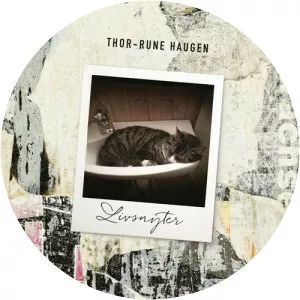 Thor-Rune Haugen - Musical artist