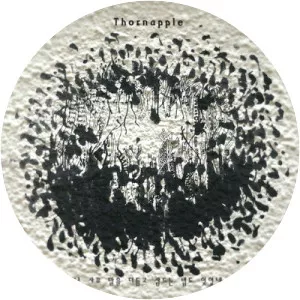 Thornapple - Musical group
