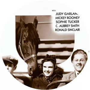 Thoroughbreds Don't Cry