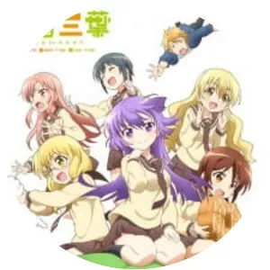 Three Leaves, Three Colors