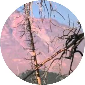 Three Sisters Wilderness - 