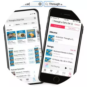 Through a Dog's Ear - Musical artist