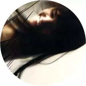 Through the Forest photograph