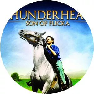 Thunderhead, Son of Flicka
