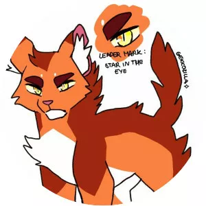 Thunderstar photograph