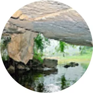 Thung Nham Bird Park - 