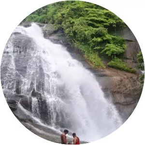 Thusharagiri Waterfalls - Waterfall in India