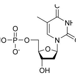 Thymidine monophosphate - 