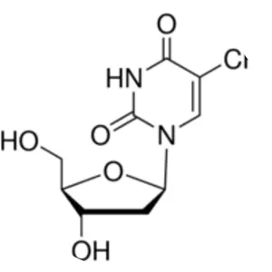 Thymidine - 