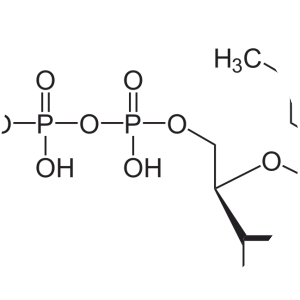 Thymidine triphosphate - 