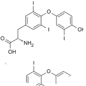 Thyroxine - Hormone
