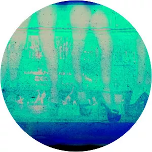 Tiane Doan na Champassak