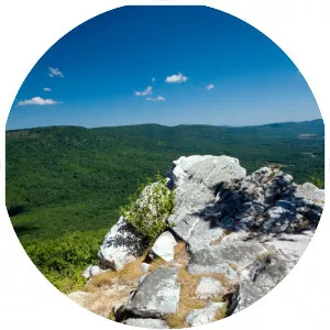 Tibbet Knob - 