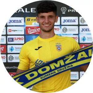 Tibor Gorenc Stankovič