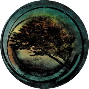 Tides From Nebula - Musical group