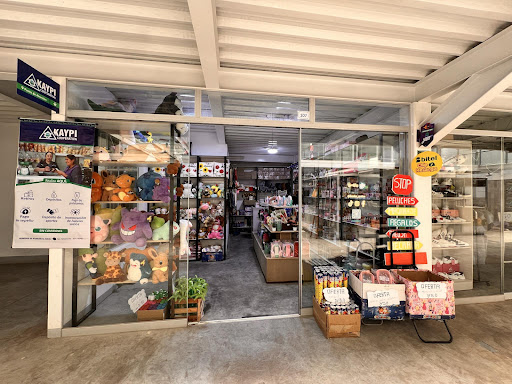 Tiendas Quekos - Gift shop in Andahuaylas, Peru