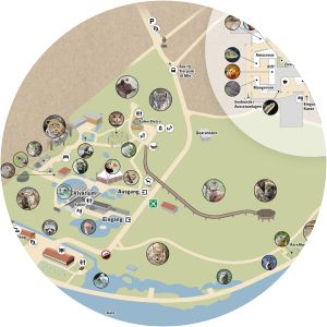 Tierpark Dählhölzli