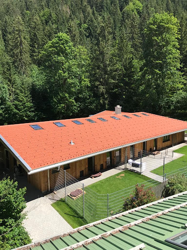 Tierschutzverein Tegernseer Tal e.V. - Animal shelter in Rottach-Egern, Germany