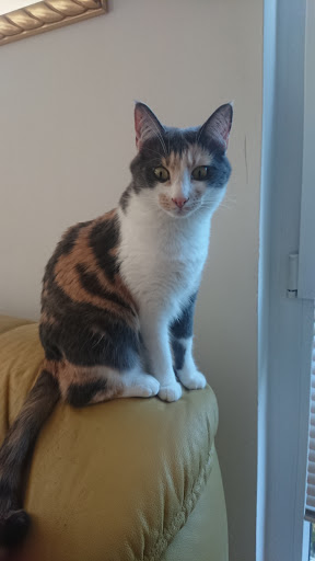 Tierschutzverein Wolfratshausen - Animal shelter in Geretsried, Germany