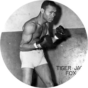 Tiger Jack Fox