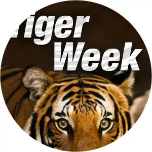 Tiger WeekSince 2016