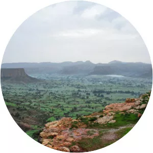 Tigray