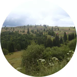 Tihuța Pass - Mountain pass in Romania