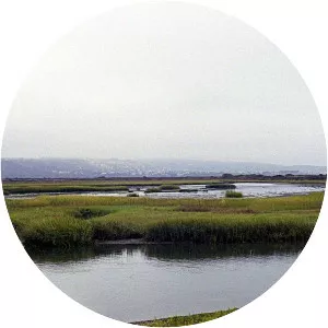 Tijuana River Estuary - 